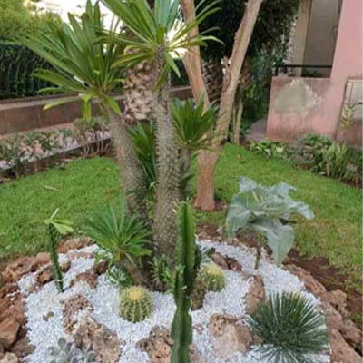 aménagement espace extérieur MTS Constructions